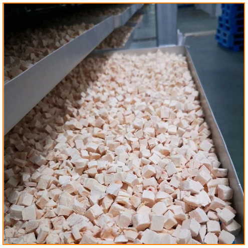 Review Jujur 500g Freeze Dried Kuning Telur Hati Ayam 1