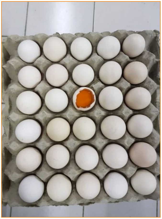 Siapa yang Wajib Beli Produk Ini?